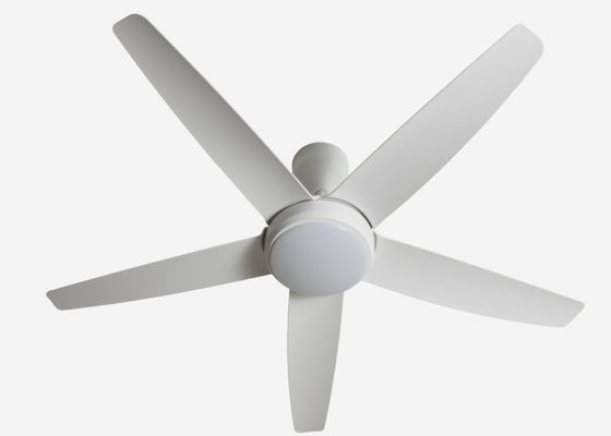 ECO Fans 56 Inch LED Modern LED Ceiling Fan DC Motor Home Using
