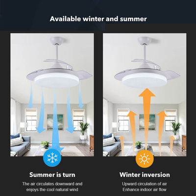 3 Color Adjustable Chandelier Ceiling Fan Lamp 36 Inch Remote Control Invisible Ceiling Fan With Light